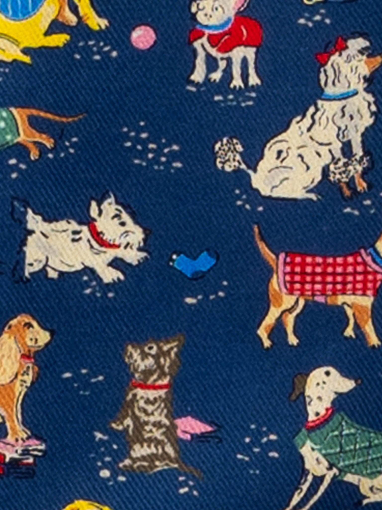 A Bow Wow Wow Peter Pan Dress with a Bow-Wow-Wow print on a blue tie.